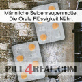 Männliche Seidenraupenmotte, Die Orale Flüssigkeit Nährt 25